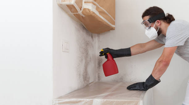 Professional Bathroom Mold Removal technician working in Bedford, TX