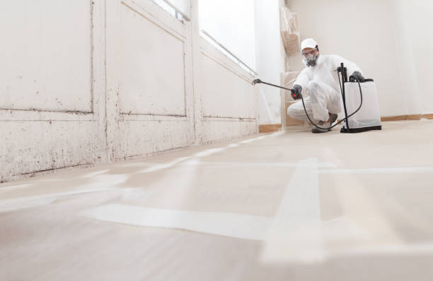 24/7 Emergency Bathroom Mold Removal experts in Bedford, TX